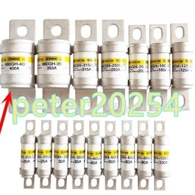 1PC NEW HINODE 660GH-100-80-63-50-40-160-200-250A-315-400 GHX125ULTC Fuse #LL