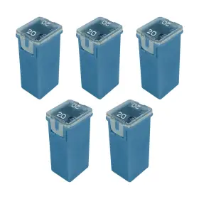 Jcase-tall-x A.A Standard Fuse Suvs Amp