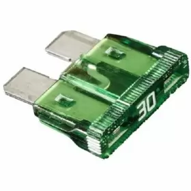 14124366 AU-VE-CO Atc Ato Fuses Amp Light
