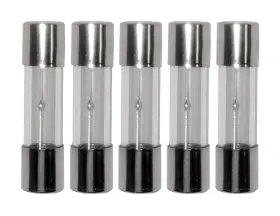 GDC-1A-5X DIVINE LIGHTING Slow Blow Fuse