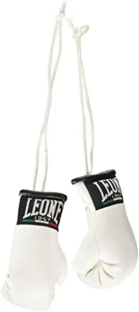 AC911 LEONE Mini Gloves Car