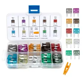 50503A NEIKO Mini Car Fuses Set Acting Auto