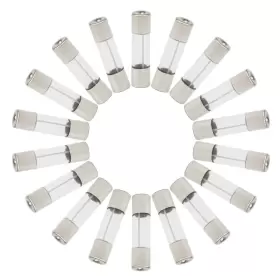 607841815864 NEWZOLL Blow Glass Fuses Car Tube