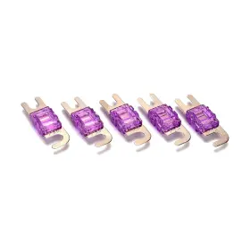 818550012462 ORION Mini Anl Pack Amp Fuse