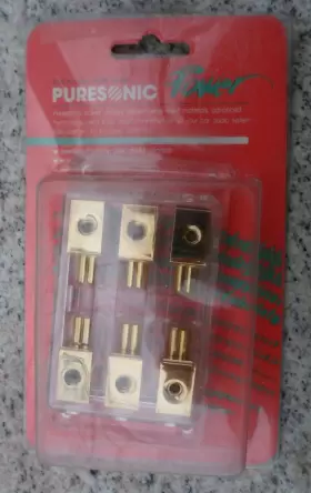 6312 PURESONIC POWER Car Audio Jewlery