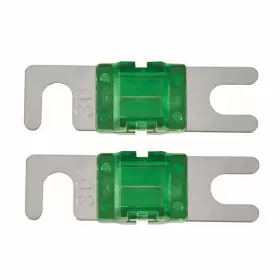 RMANL30 RAPTOR Anl Fuses Amp Mini