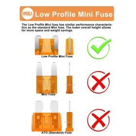 192687768554 RISEUVO Mini Blade Fuses Car #3