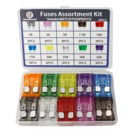 445002114165 ROADANDLORD Auto Car Standard Blade Fuse Kit