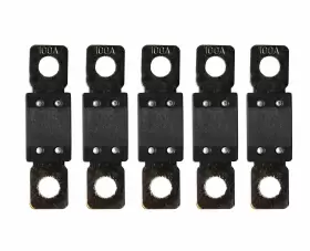 719076016588 VICTRON ENERGY Fuse Pack