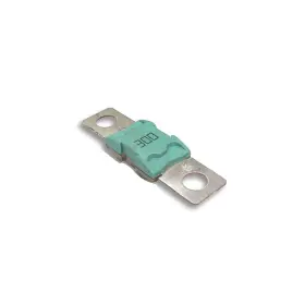 719076021919 VICTRON ENERGY Fuse
