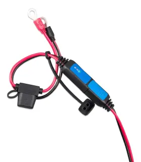 719076043065 VICTRON ENERGY Eyelet Indicator Smart Charger