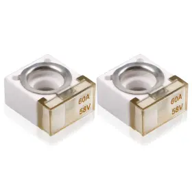 ZT-BSX-FUSE-2PCS-60A VOZINMOST Habf Battery Terminal Auto