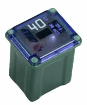 24440 WIRTHCO Fuse Fmx