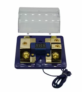 768067244330 YONGJIANGXIA Dual Digital Golden Anl Dist Block #2
