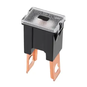 784958616666 ZAPLYTE Fuse Male Terminal Blade Box