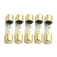 Etopar 5 X 100A AGU Fuse Car Auto Audio Power Safety Protect Glass Tube Gold ...