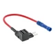 Accele Electronics - FT-MICRO2-5 - ATR 2-leg micro fuse
