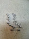 Lot Of 10 Bussman AGC 7-1/2 Fuses 250V 7-1/2 Amp