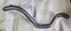 Febi Radiator Hose Lower Audi A3 8L Seat Leon Toledo Skoda Octavia VW Golf IV