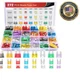 Nilight - 50019R 272pcs Standard & Mini & Low Profile Mini Blade Fuse Assortment
