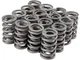 For 2005-2007 Chevrolet Silverado 2500 HD Engine Valve Spring Kit 12354JYYF 2006