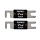 T-Spec V8 Series ANL Fuse 100a 2-pk #V8-ANL100