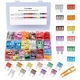 CrocSee 250 Pieces-Car Fuses Assortment Kit, Blade-Type Automotive