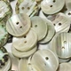 White/Iridescent Japanese Turbo/Snail Shell Button Green Back 13,17,19,21,23mm