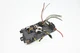 ⭐ 12-18 Bmw F30 2/3/4 Series Rear Bcm Body Control Electronic Module Unit Oem