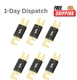 GLSOWEE 6PCS 60Amp ANL Blade Fuse Gold Plated 32V for Inverters Car Audio