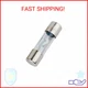 Xscorpion AGU100P Agu Fuses 100amp 5pk Platinum Xscorpion