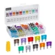 LLEZZA 120 Pieces Mini Fuse Kit, Car Fuses Assortment Kit -Mini [MULTI] 