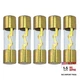 A.A AGU Fuse 100A Gold Glass Inline for Car/Auto/Marine Audio Stereo 100 Amp