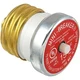 Bussmann BP/MB-15 15 Amp Edison Base Plug Fuse Circuit Breaker, 125V