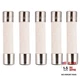 BOJACK Microwave Fuse 20a Ceramic Fuse 20 Amp 250V Slow-Blow Compatible 5 Piece