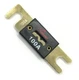 Gold-Plated Audiopipe 100A 32V ANL Car Audio Fuses