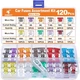 JOREST 120Pcs Micro Fuses, Low Profile Mini Fuse Kit, Micro Fuses Assortment ...