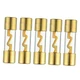 BOJACK Gold Plated Glass Car Audio AGU Fuse for Car/Auto/Marine Audio 40A