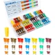 cooclensportey 182-Pc Car Fuse Kit Standard Mini Low-Profile 5-40A w/ Storage