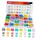  - 50019R 272pcs Standard & Mini & Low Profile Mini Blade Fuse Assortment, 2A 
