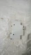 Ferraz Shawmut USCC1I, X213943 Ultrasafe Fuse Holder, Rated: 600V, 30