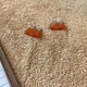 Littelfuse Maxi Blade Fuse 40 Amp Orange MAX40BP Lot Of 2