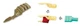 WIRTHCO 30800 Mini Fuse Tap Kits